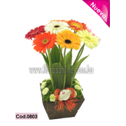 Exotico Gerberas ( Cod.0803) Exotico Gerberas ( Cod.0803)
