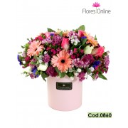 Versalles Mix Pink (Cod.0860) Versalles Mix Pink (Cod.0860)