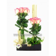 Cariño Rosa Blush (Cod.107) Cariño Rosa Blush (Cod.107)