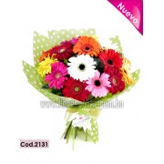 Bouquet 18 Gerberas Premium (Cod.2131) Bouquet 18 Gerberas Premium (Cod.2131)