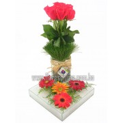 Gerberas y Rosas (Cod.307) Gerberas y Rosas (Cod.307)