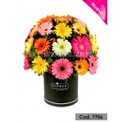 Majestuoso 50 Gerberas (Cod.7706) Majestuoso 50 Gerberas (Cod.7706)