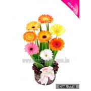 Arreglo Moderno 8 Gerberas (Cod.7715) Arreglo Moderno 8 Gerberas (Cod.7715)