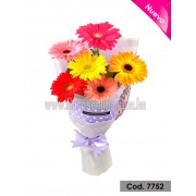 Bouquet Colores Vibrantes 6 Gerberas (Cod.7752) Bouquet Colores Vibrantes 6 Gerberas (Cod.7752)