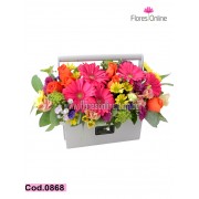 Colores Vibrantes (Cod.0868) Colores Vibrantes (Cod.0868)