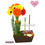 Jardín de Colores Gerberas( Cod.2614) Jardín de Colores Gerberas( Cod.2614)