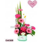 Encanto Gerberas Tonos Pink (Cod.2620) Encanto Gerberas Tonos Pink (Cod.2620)