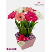 Gerberas Nacimiento Niña (Cod.430) Gerberas Nacimiento Niña (Cod.430)