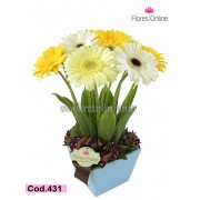 Gerberas Nacimiento Niño (Cod.430) Gerberas Nacimiento Niño (Cod.430)