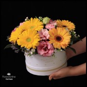 Flores Mix (Cod.2213) Flores Mix (Cod.2213)