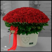 Arreglo Majestuoso 300 Rosas (Cod.2342) Arreglo Majestuoso 300 Rosas (Cod.2342)