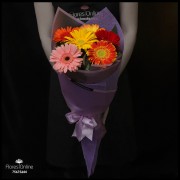 Bouquet Arcoíris 6 Gerberas (Cod.2357) Bouquet Arcoíris 6 Gerberas (Cod.2357)