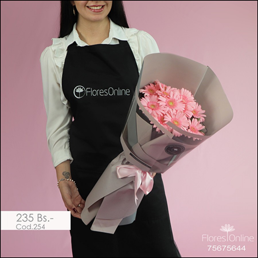 Bouquet Ternura Mini Gerbera (Cod.254)