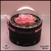 Rosa Eterna Premiun Rosada (Cod. 2701) Rosa Eterna Premiun Rosada (Cod. 2701)