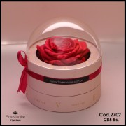 Rosa Eterna Premium Fucsia (Cod.2702) Rosa Eterna Premium Fucsia (Cod.2702)