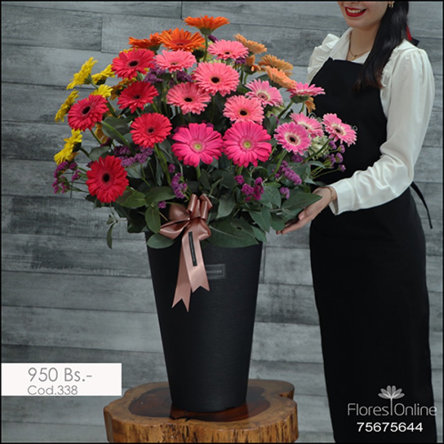 Amor en Primavera Gerberas (Cod.338)