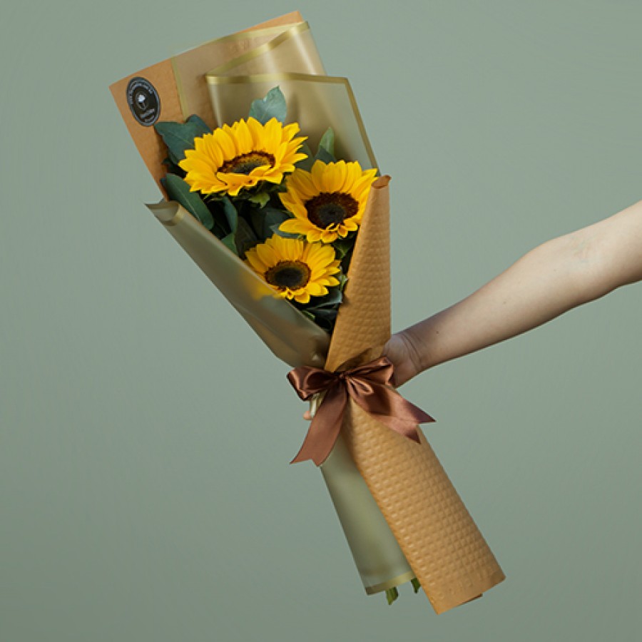 Girasoles Premium (Cod.B162)
