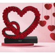 Corzanes entrelazados (Cod.R170)