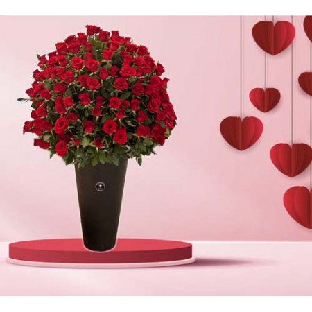 Arreglo Premium 250 Rosas (Cod.R172)