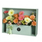 R201 Jardinera Gerberas y flores Mix