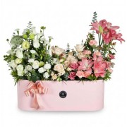 R208 Jardinera Premium 