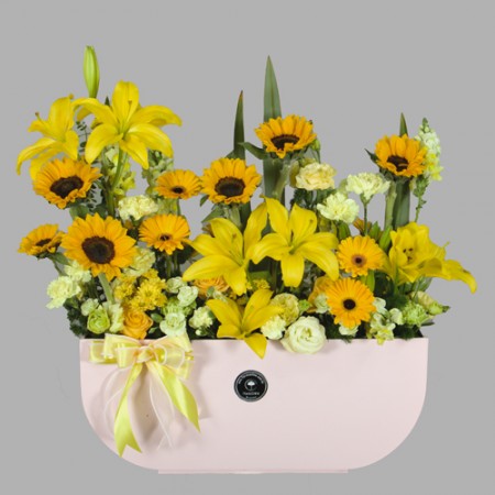 Jardin de Primavera (Cod.R237)