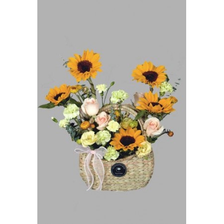 Girasoles Moderno y elegante (Cod.R241)
