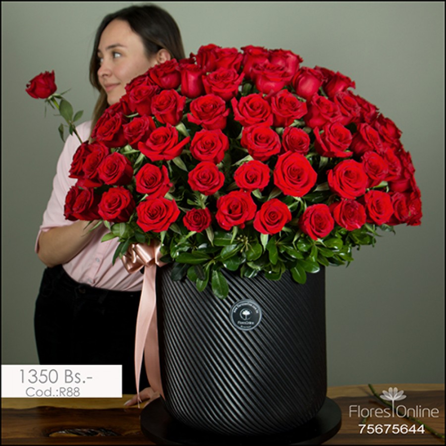 100 Rosas Romantico (Cod.R88)