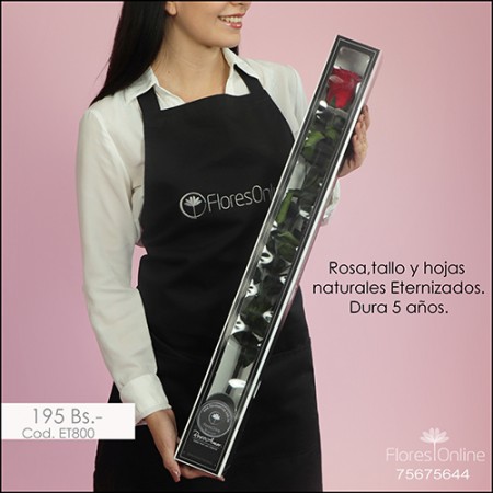 Rosa Eternizada Roja con Tallo (Cod.ET800)