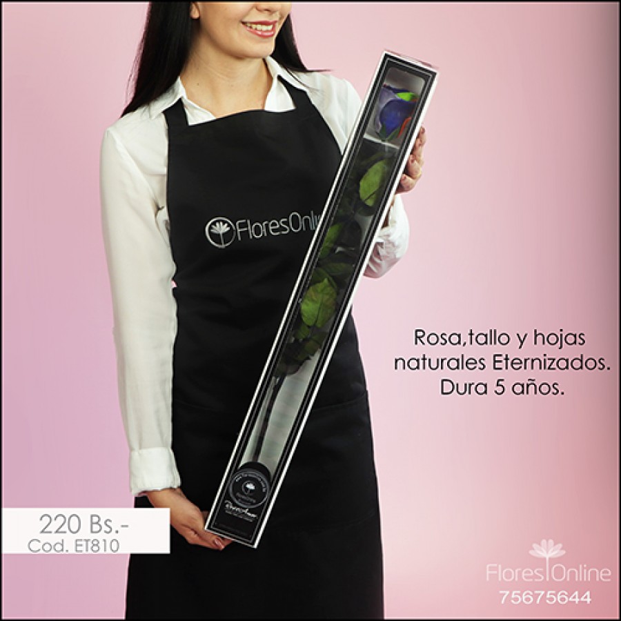 Rosa Eternizada Arcoíris con Tallo (Cod.ET810)